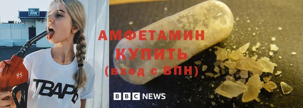 гидра Гусиноозёрск