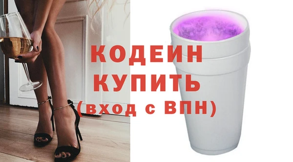 гидра Гусиноозёрск
