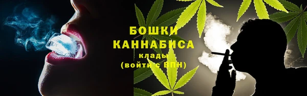 гидропоника Гусев
