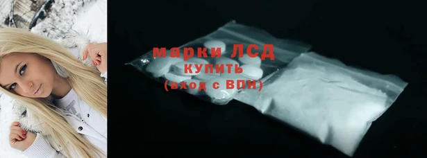 гидропоника Гусев