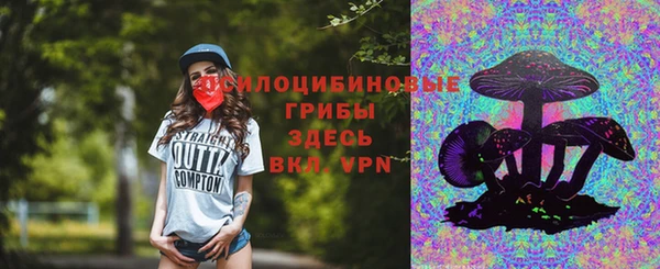 гидра Гусиноозёрск