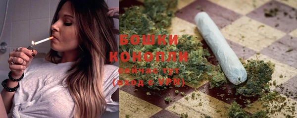 гидропоника Гусев