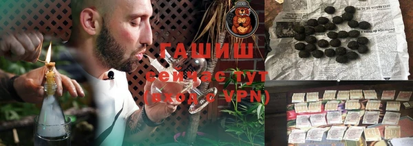 гидра Гусиноозёрск