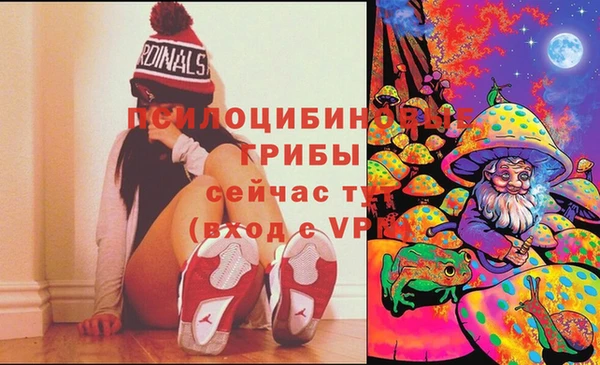 jwh Гусь-Хрустальный