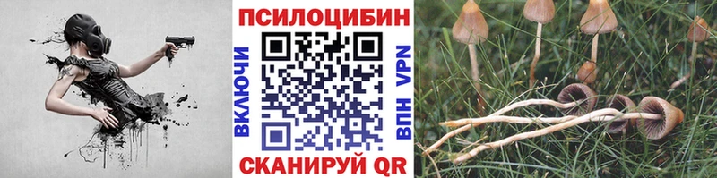 дарнет шоп  Александровское  Галлюциногенные грибы мухоморы 